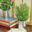 2 pièces 10,2 po Faux herbes topiaire en pot en métal pour bureau ou tablette
