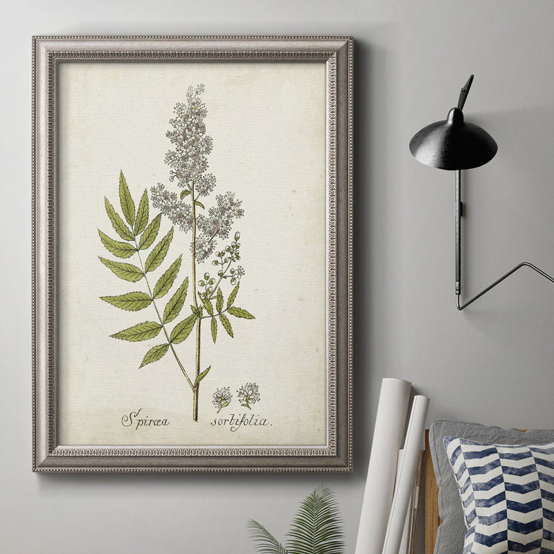 Antique Herb Botanical III - reproduction d'art sur toile encadrée, H 36 po x l 24 po x P 2,5 po