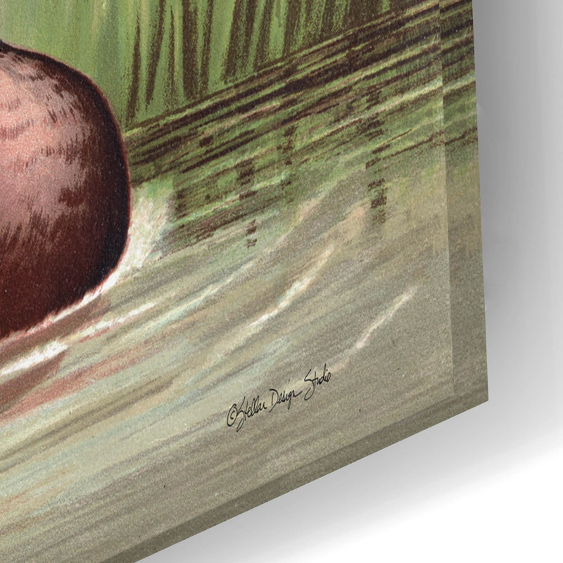  «Resting Duck 1» par Stellar Design Studio, art mural en verre acrylique, 24 po x 16 po, H 16 po x l 24 po