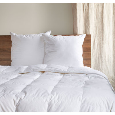 Down Alternative Throw Pillow Insert - 2 Pack