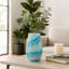 Handmade Glass Table Vase-1882193988