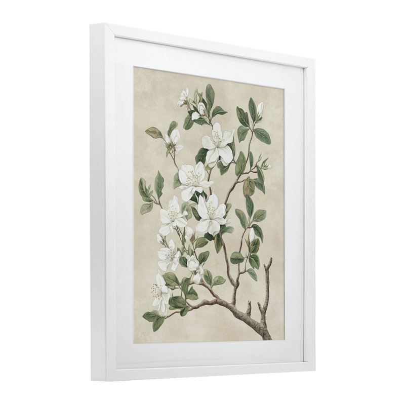 Reproduction sous verre rétro encadrée d'un arbre blanc, design par Petal Prints Design, H 16 po x l 13 po