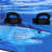 Guy Harvey Shark Bite 6 Rod Wall Rack