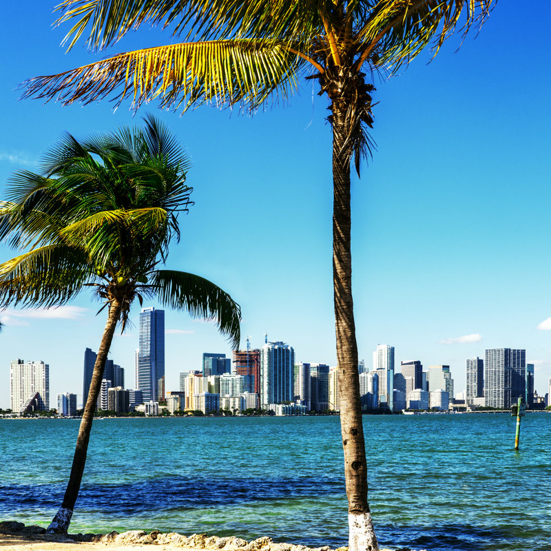Gurganus Miami - Wrapped Canvas Print, 30cm H x 30cm W x 3.8cm D