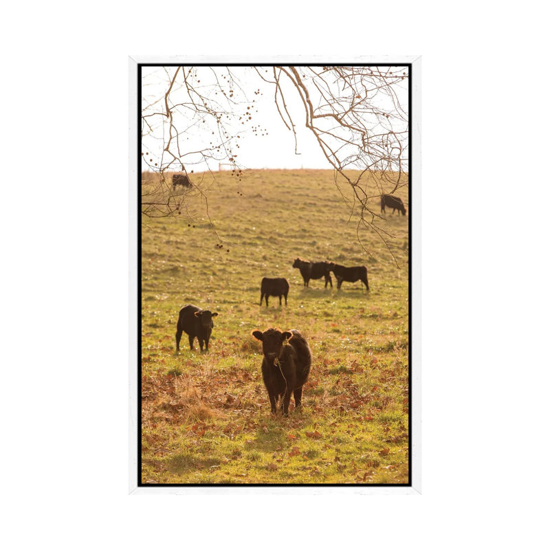 Fall Field II by Aledanda - Print on Canvas, 101.6cm H x 66.04cm W x 3.81cm D, White Framed