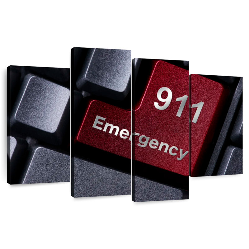 Alcaraz 911 Emergency, 54" H x 84" W