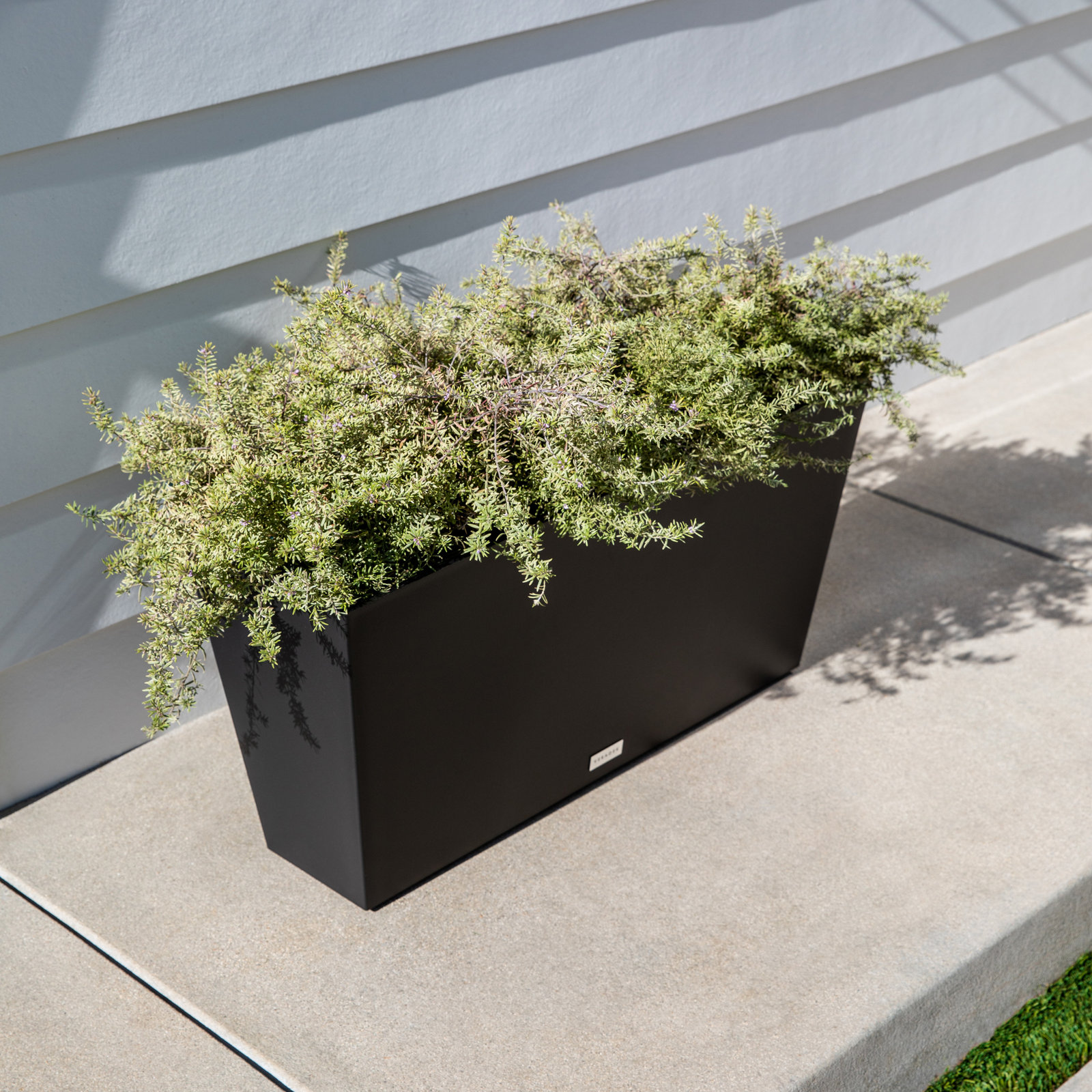 Pure Series Midori Planter, Black, 15.25" H x 31" W x 10" D, 2