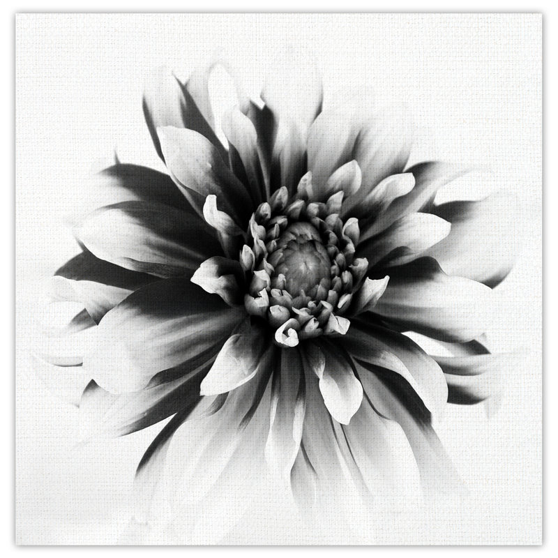 " Daylight I " by Ilona Wellmann, 24" H x 24" W x 1.5" D