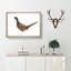 Pheasant Bird in Winter - Framed Print-56704609-56704610