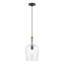 Luminaire suspendu en pot 1 lumière Vandeveer-493648731