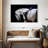 Sireci White Horse And Equestrian-107687577