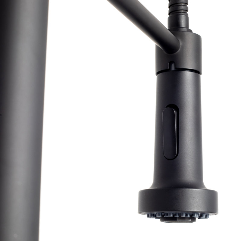 Apollo Pull Down Single Handle Kitchen Faucet with Side Spray and Accessories, Matte Black