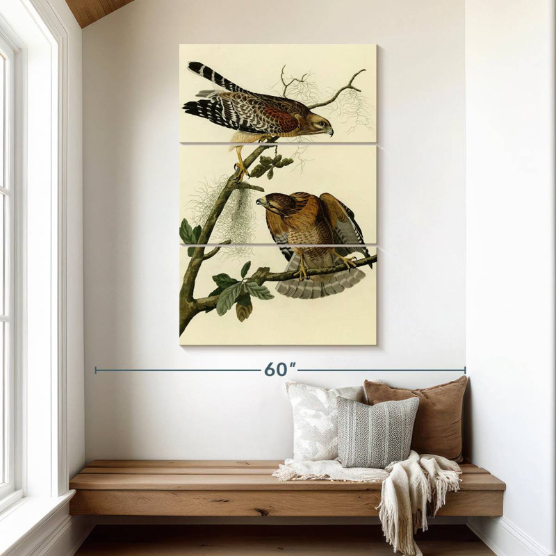 Ronce à faucon à épines d'oiseaux d'Amérique, H 50 po x l 32 po