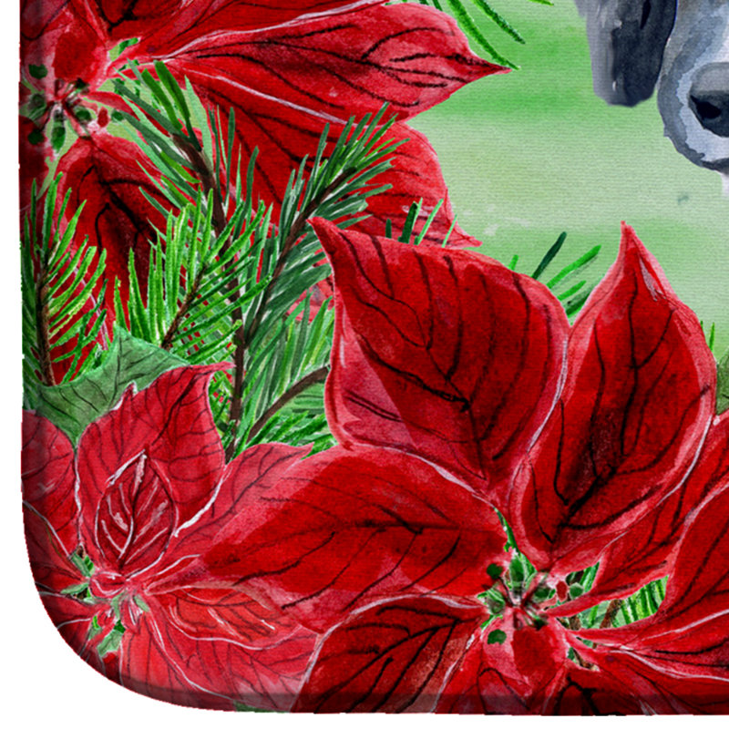 Tapis de séchage poinsettas chiot terre-neuve