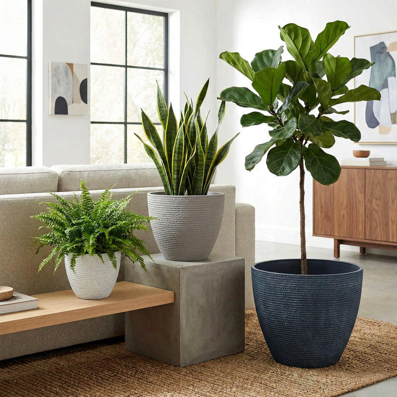 Modern Decorative Garden Pots for Indoor & Outdoor Use, White+Gray+Navy blue