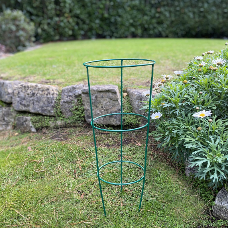 Aieden Metal Weather Resistant Plant Support, 48 x 20 x 18 cm