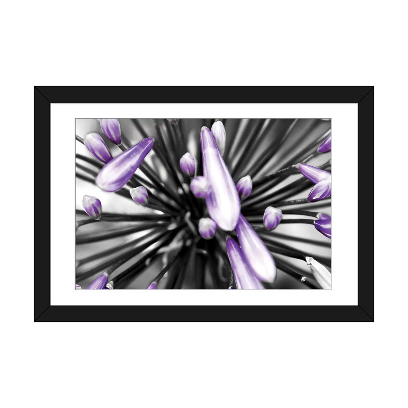 « mauve fleur », reproduction de photo sur toile tendue, H 3 po x l 24 po x P 32 po, Papier d'art encadré noir, Blanc