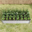 Lit de jardin surélevé pour l'extérieur, 6 x 3 x 1 pi, pots de fleurs rectangulaires surélevés en métal pour plantes, légumes et fleurs - Argent-302022727