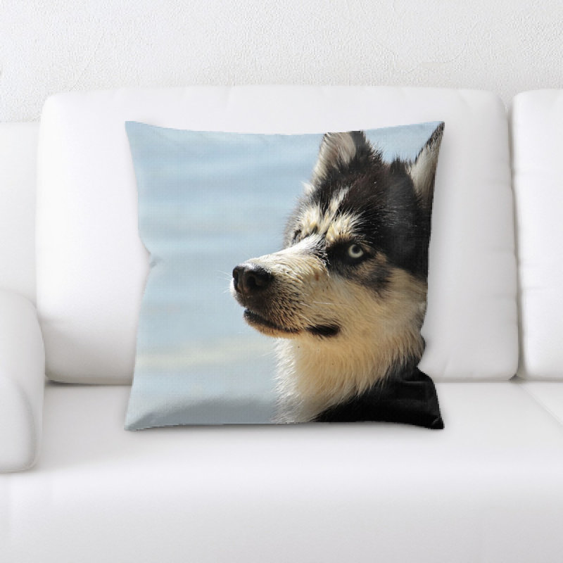 Coussin husky