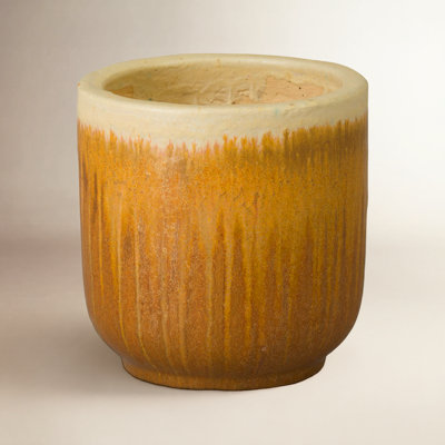 Janaesha Ceramic Pot Planter