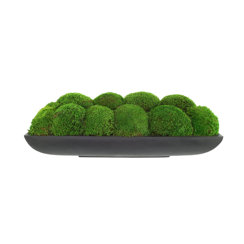 Moss Preserved in Oblong Planter, 9" H x 25" W x 10.5" D