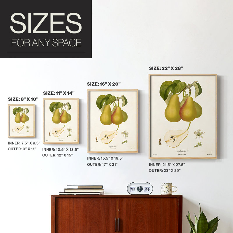 Vintage Pears V Framed Print - Solid Wood