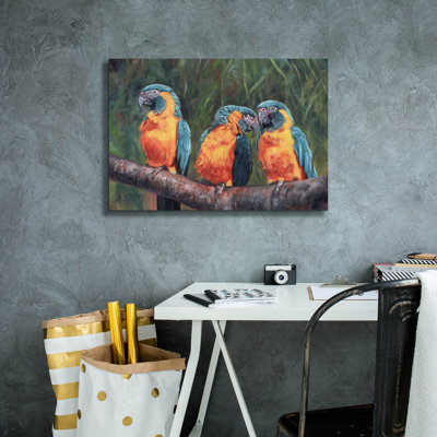 " Epic Graffiti '3 Macaws2 By David Stribbling, Canvas Wall Art " by David Stribbling