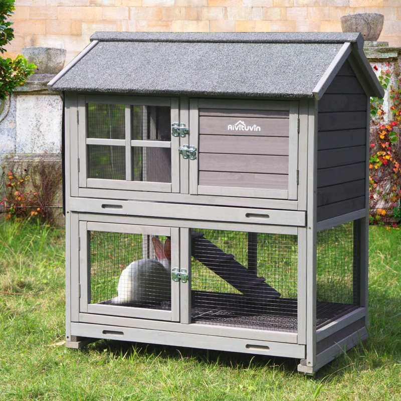 Weather Resistant Rabbit Hutch with Two Trays
