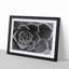 Succulent Plant - Picture Frame Painting Print-55613517-55613520