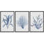 Feuille de plante bleue 3 pièces-91874807-91874804