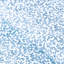 Coralcoast-1002812160