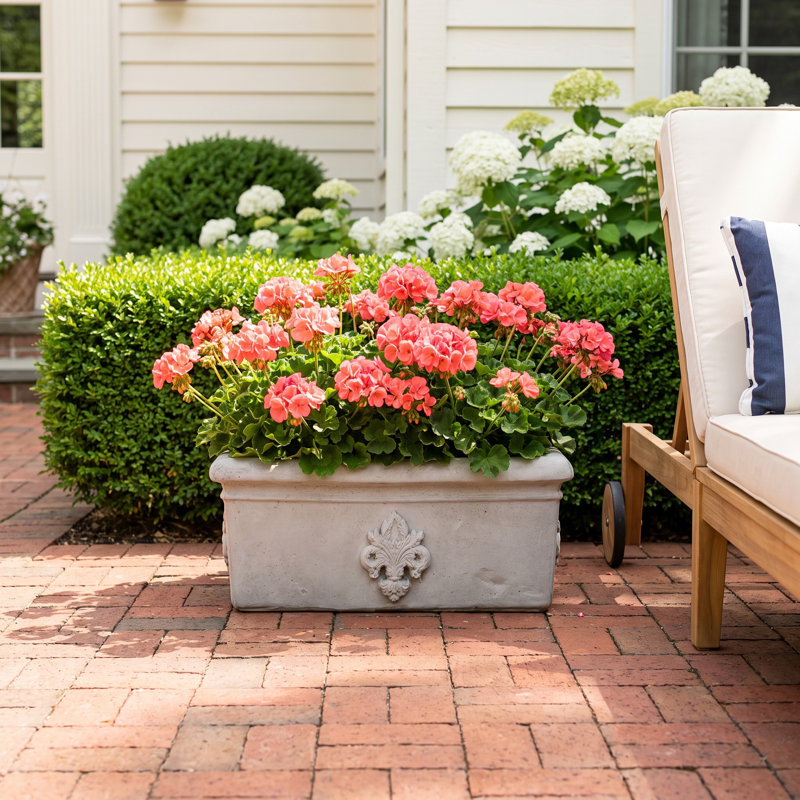 24 in. Rectangular French Planter - Natural Finish - Grey