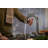 Sensate Kitchen Faucet with Konnect-40933142