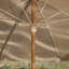 Parasol-466899192