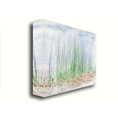 Herbe sur la plage par Hal Halli. Estampe numérique