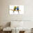 Parakeets-1231534661