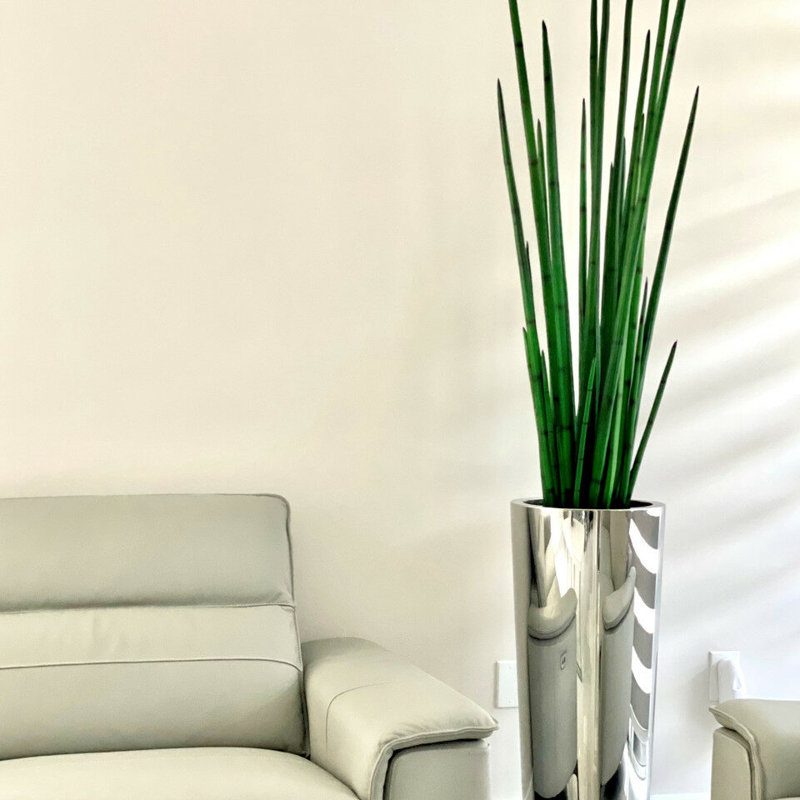 Faux Snake Plant (Sansevieria) Plant in Metal Planter, Stainless Polished
