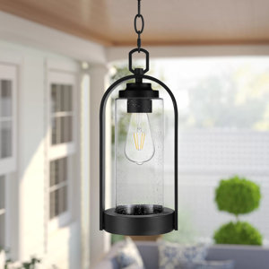Haleema 1-Light 15.7"H Outdoor Pendant Light with Matte Black Accents(incomplete missing light )