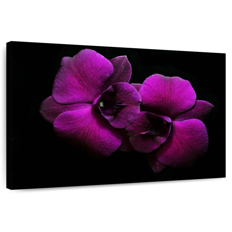 Harnek Thai Orchid