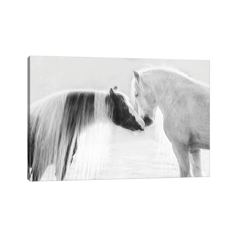 Collection Of Horses III by PHBurchett - Wrapped Canvas Print, 20.32 cm H x 30.48 cm W