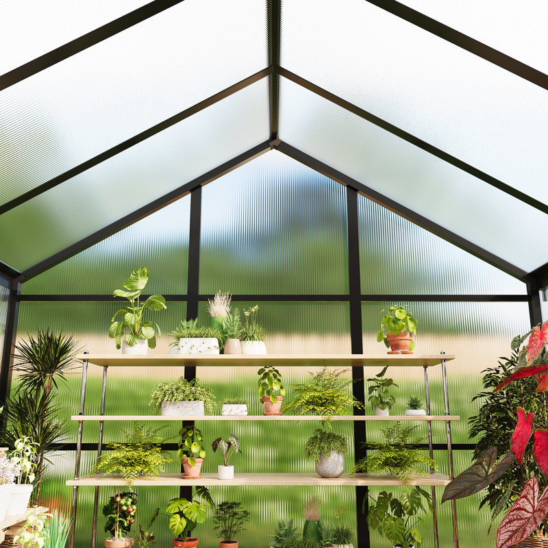 6×8 ft or 6×10 ft Walk-In Greenhouse with Polycarbonate Panels and Aluminum Frame, Outdoor Garden Planting Greenhouse with Roof Vent