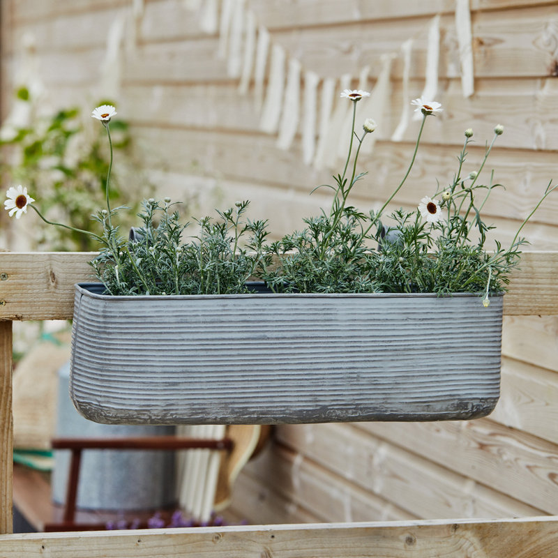 Matlock Metal Window Box, 23cm H x 50cm W x 50cm D