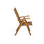 Bangor Foldable Outdoor Patio Dining Armchair with Cushion