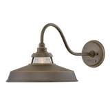 Troyer 1-Light Outdoor Wall Lantern