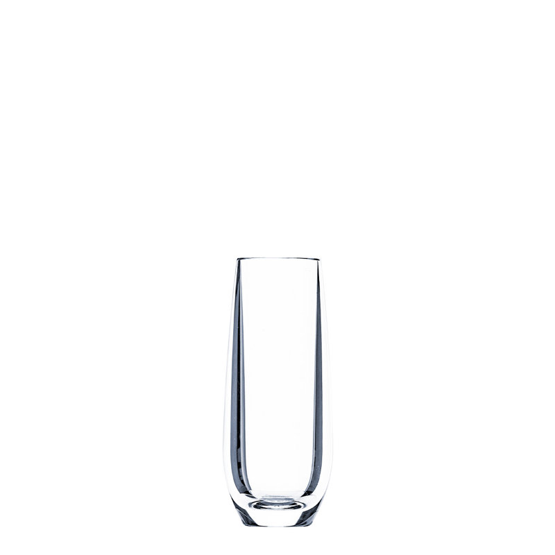 Oasis Drinking Glass