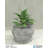 Hazel Planter-99062215