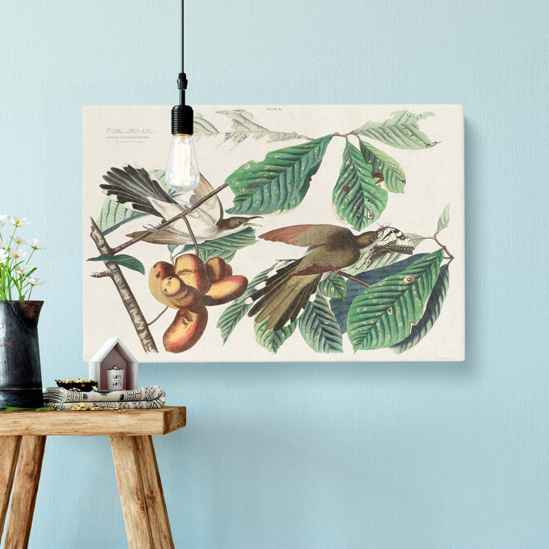 Yellow-billed Cuckoo Birds by John Audubon - Wrapped Canvas, 40cm H x 60cm W x 3cm D