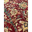 Oriental Area Rug in Red