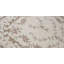 Hand-Knotted High-Quality Ivory Area Rug