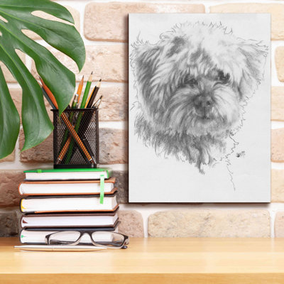 «Maltipoo» par Barbara Keith, reproduction d'art sur toile tendue